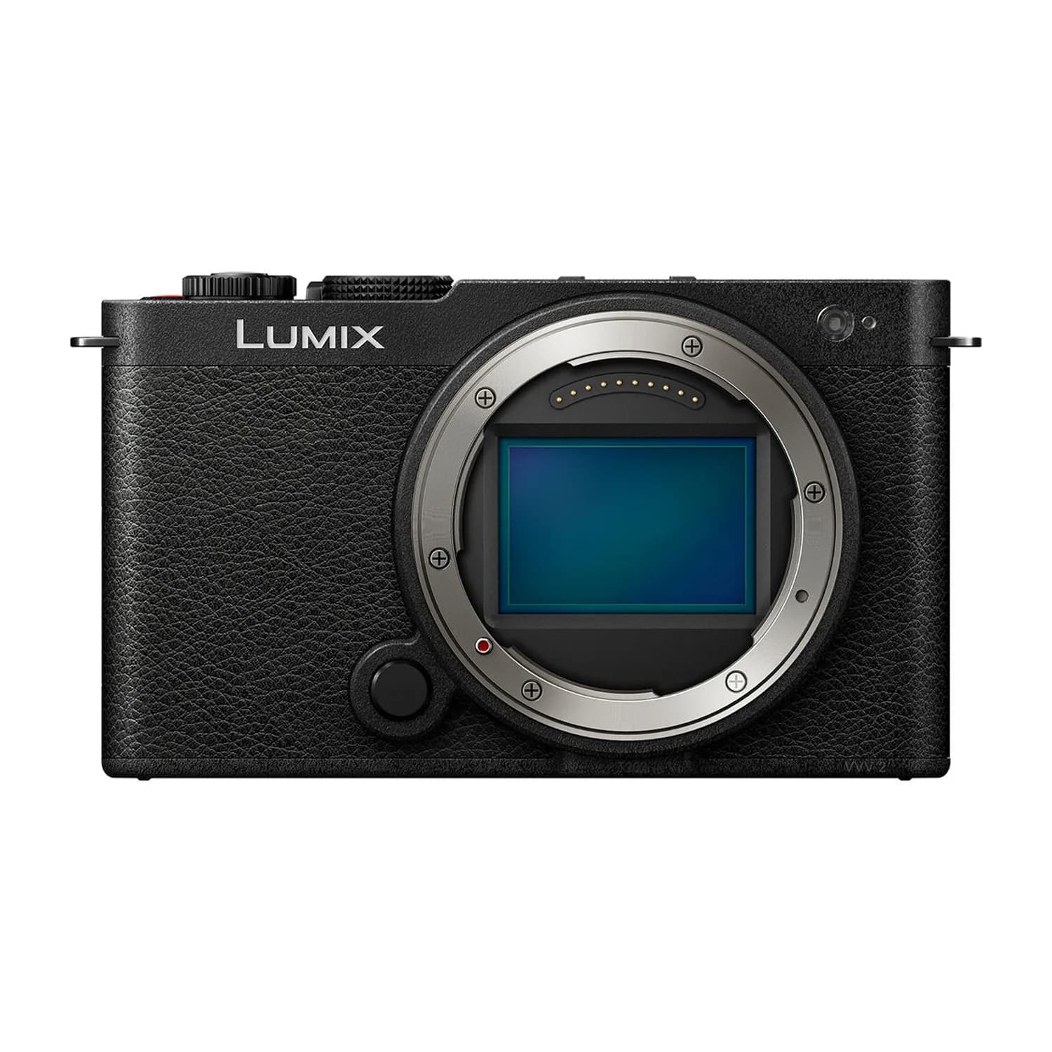 Panasonic Lumix S9